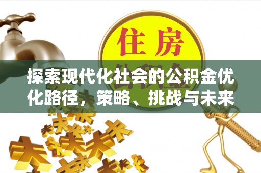 沾化探索现代化社会的公积金优化路径，策略、挑战与未来展望