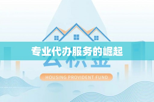 沾化专业代办服务的崛起