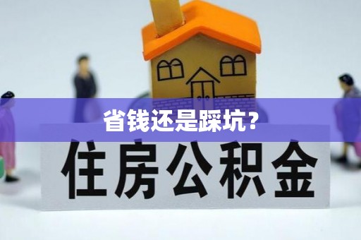 沾化省钱还是踩坑？