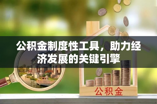 沾化公积金制度性工具，助力经济发展的关键引擎