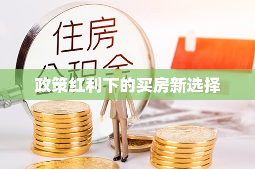 沾化政策红利下的买房新选择