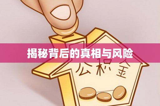 沾化揭秘背后的真相与风险