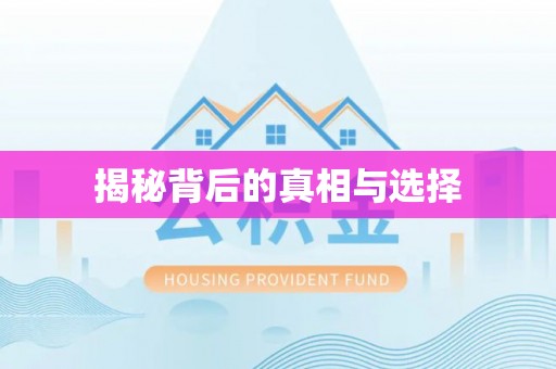 沾化揭秘背后的真相与选择