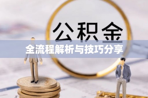 沾化全流程解析与技巧分享